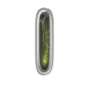 242