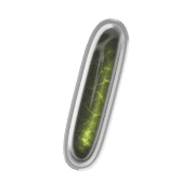 247