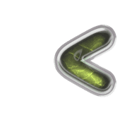 248