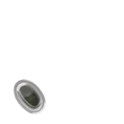 256