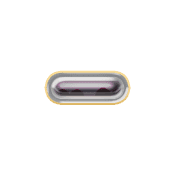 251