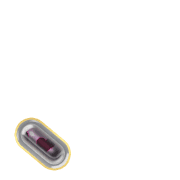 256