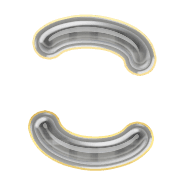 010