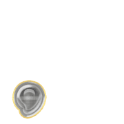 245