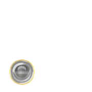 246