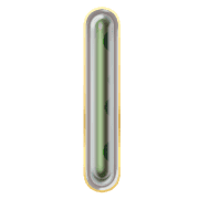 242