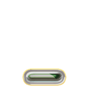 250