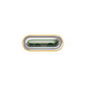 251