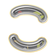 010