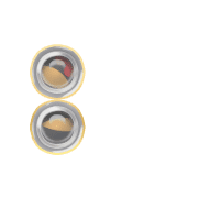 244