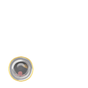 246