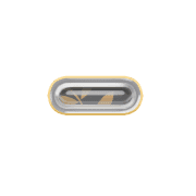 251