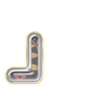 255