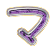 111