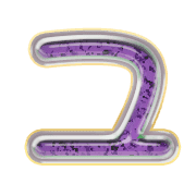 117