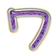 124