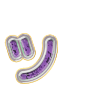 132