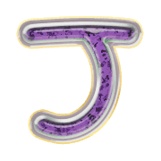 171