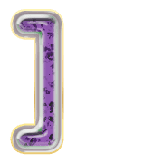 241