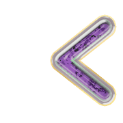 248