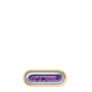250