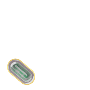 256