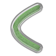 008