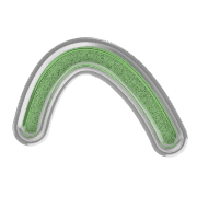 029