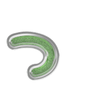 052