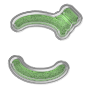 060