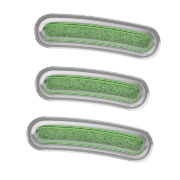 112