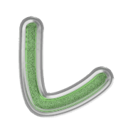 122