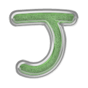171