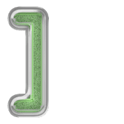 241