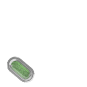 256