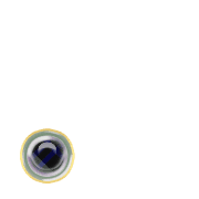 246