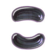 010