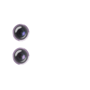 244