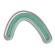 029
