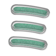 112
