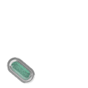 256
