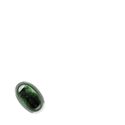 256