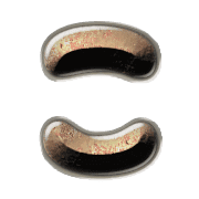 010