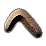 029