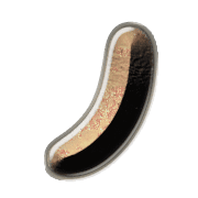 105