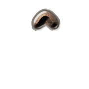231