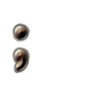 243