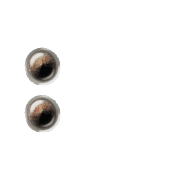 244