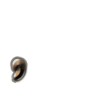 245