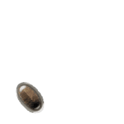 256